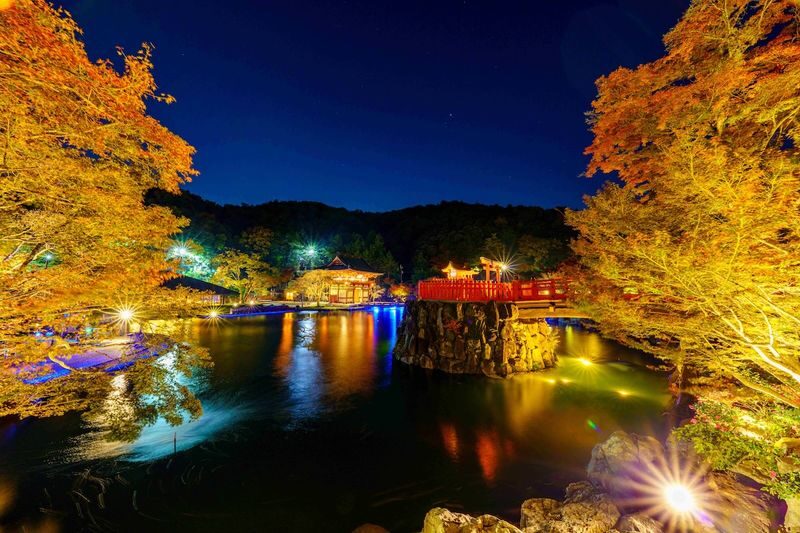 Katsuo-ji Temple Ticket (Optional Osaka Metro Pass) - Is the Osaka Metro North Plus pass worth adding?