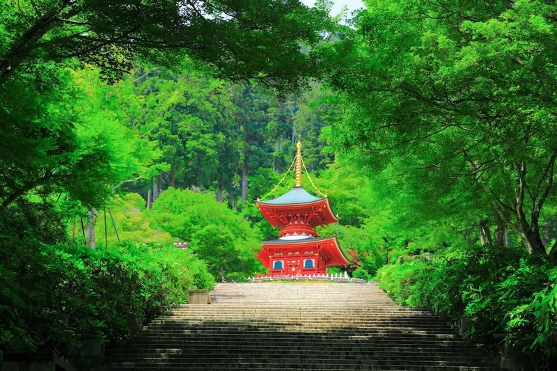 Katsuo-ji Temple Ticket (Optional Osaka Metro Pass) - What the admission ticket covers