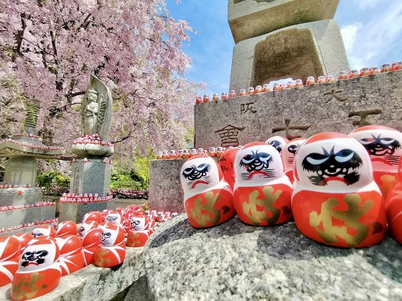Katsuoji & Minoh Falls Half-day Nature & Electric Bike Tour - A temple and waterfall, without a full-day commitment
