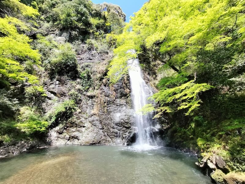 Katsuoji & Minoh Falls Half-day Nature & Electric Bike Tour - Katsuoji Temple: the main cultural stop