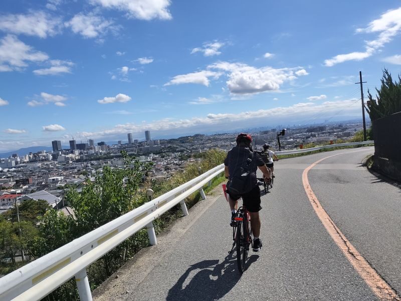 Katsuoji & Minoh Falls Half-day Nature & Electric Bike Tour - Minoh Falls: a smaller nature stop