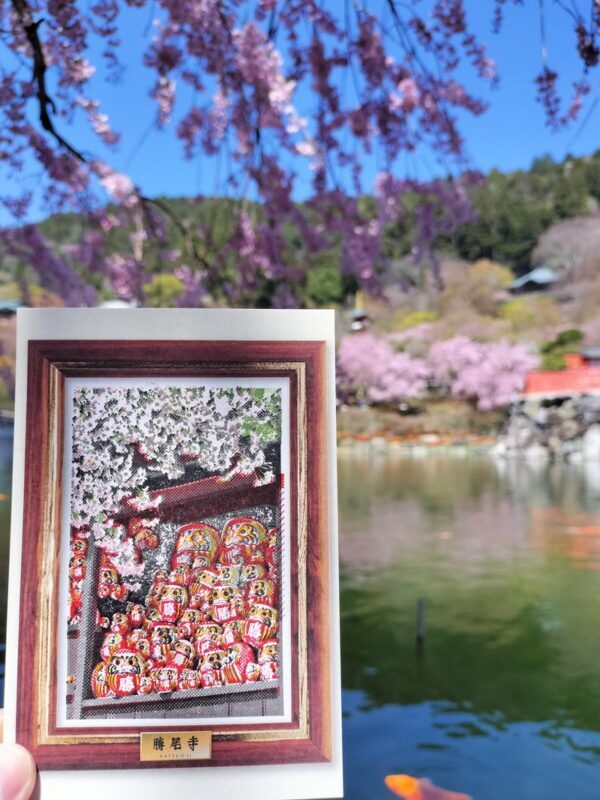 Katsuoji & Minoh Falls Half-day Nature & Electric Bike Tour - What the guide adds