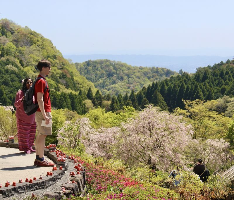 Katsuoji & Minoh Falls Half-day Nature & Electric Bike Tour - Is $78.85 fair value?
