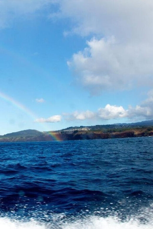 Kauai: 3-Tank Boat Dive for Certified Divers - Who This Tour Is Perfect For