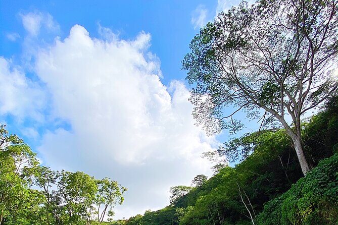 Kauai Adventure: Kayak & Hike to Secret Falls with Expert Guide - The Sum Up