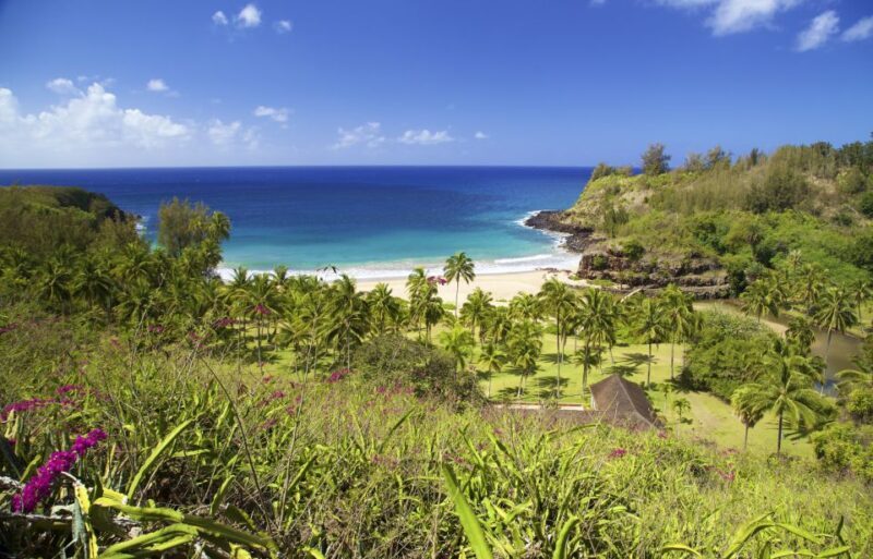 Kauai: Allerton Garden Guided Group Walking Tour - Discover the Beauty of Allerton Garden on Kauai