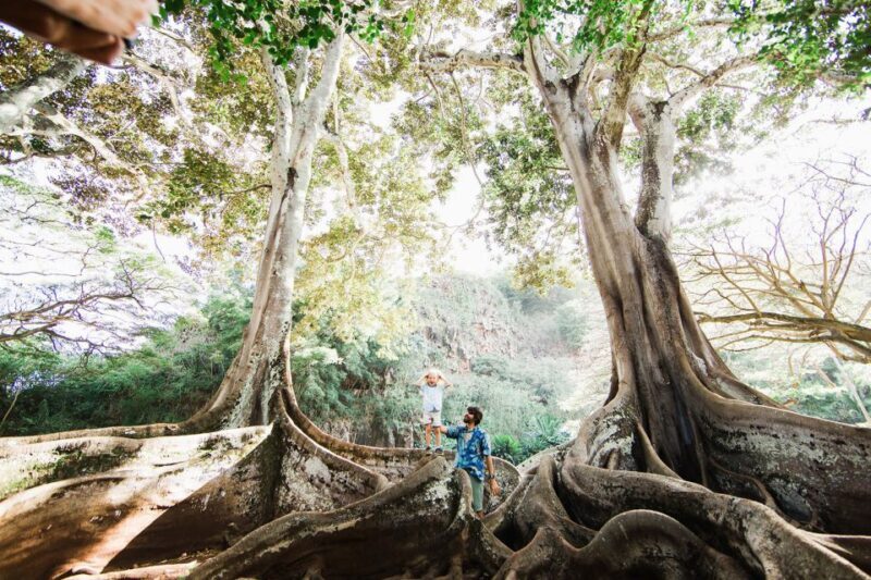 Kauai: Allerton Garden Guided Group Walking Tour - Who Will Love This Tour?