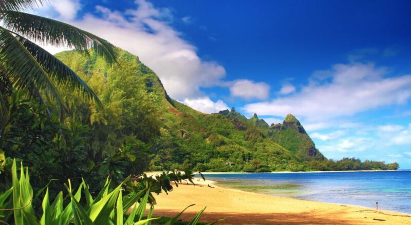 Kauai: Customized Luxury Private Tour - Key Points