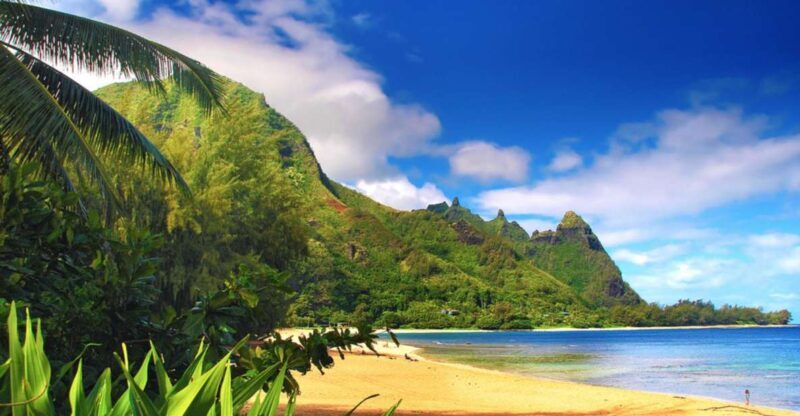 Kauai: Customized Luxury Private Tour - Exploring Kauai in Style: An In-Depth Look