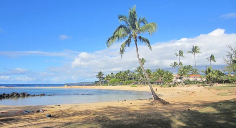 Kauai: Customized Luxury Private Tour - FAQ