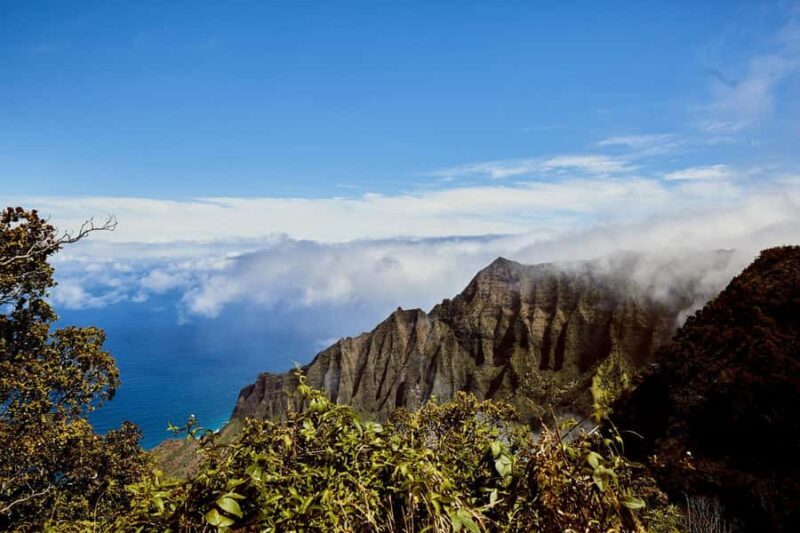 Kauai Day-Tour: Kalalau, Waimea, Poipu, Cruise or Airport PU - FAQ