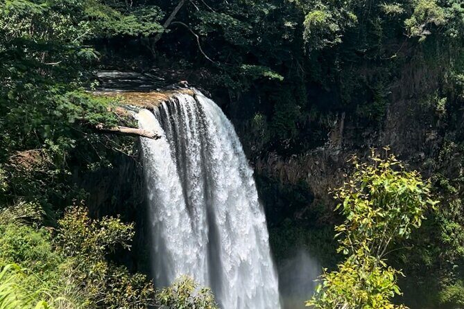 Kauai Eastside & Waterfalls-Shared Small Group Tour - An In-Depth Look at the Kauai Eastside & Waterfalls Tour