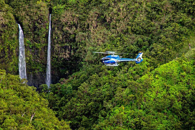 Kauai Eco Adventure Helicopter Tour - Key Points