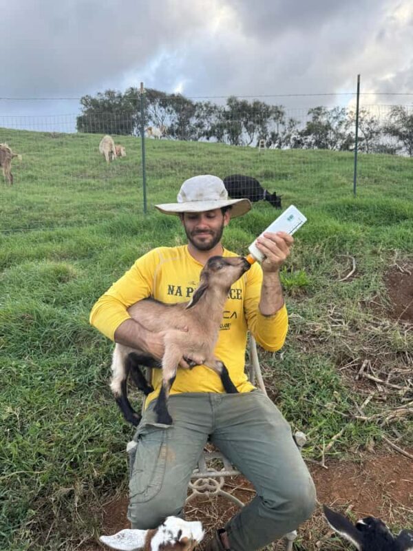 Kauai Farm: Play & Bottle Feed Baby Mini Nubian Goats! - Final Thoughts