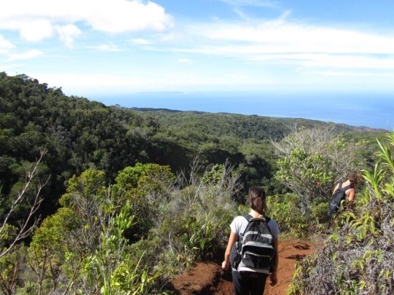 Kauai: Full-Day Kauai Adventure - The Practicalities and What to Bring