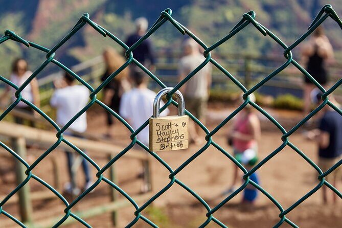 Kauai Full Day Tour with Cruise ships or Kauai Airport Pickup - Who Should Consider This Tour?