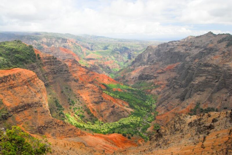 Kauai: Full-Day Waimea Canyon & Wailua River Tour - Who Should Book This Tour?