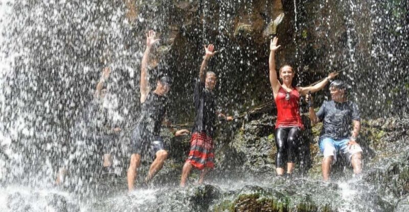 Kauai: Guided Hike and Waterfall Swim - Who Should Take This Tour?