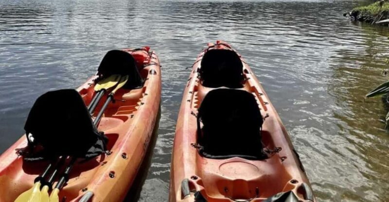 Kauai: Guided Kayak and Hike to Secret Falls - What Does the Tour Cover?