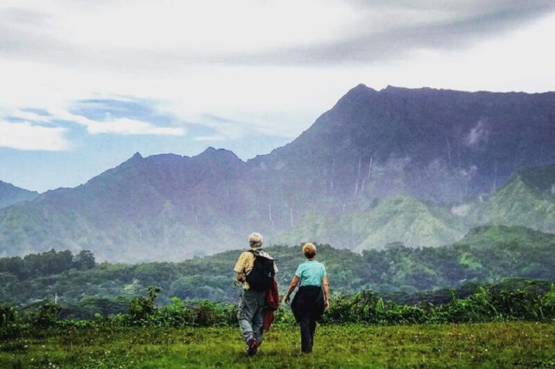 Kauai: Half-Day Kauai Adventure - Exploring Kauai’s Natural Beauty on a Private Guided Hike