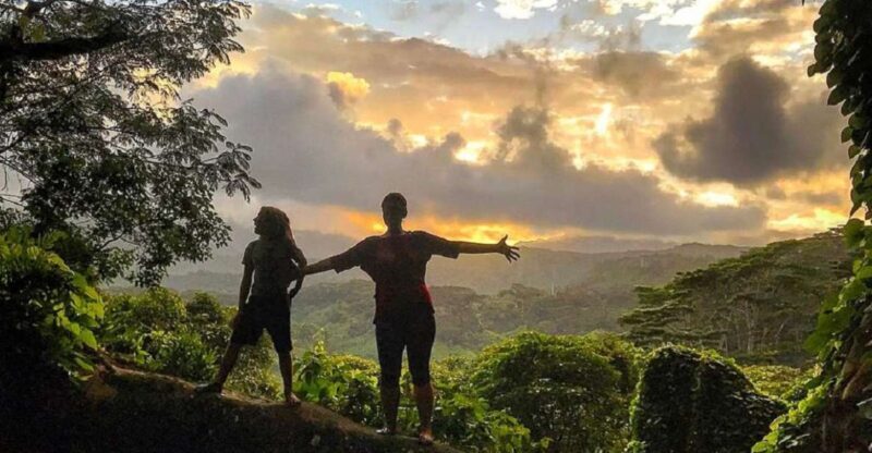 Kauai: Half-Day Kauai Adventure - Who Should Book This Tour?