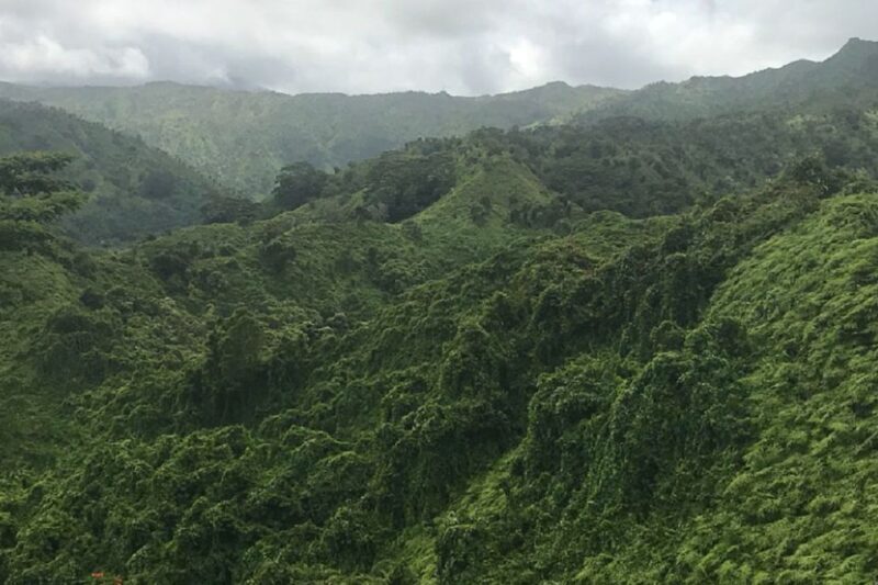 Kauai: Half-Day Kauai Adventure - Frequently Asked Questions