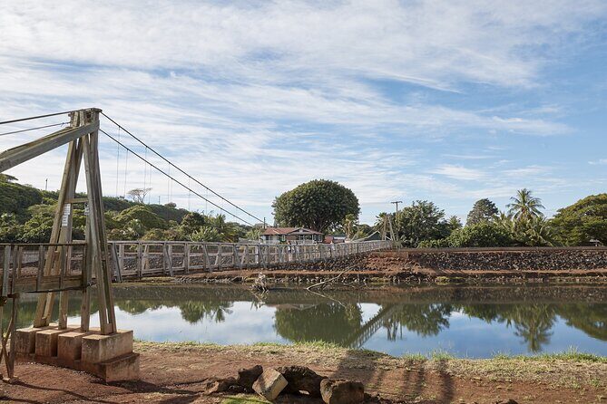 Kauai Highlights Full Day Tour from Oahu with Waikiki Pickup - Final Thoughts