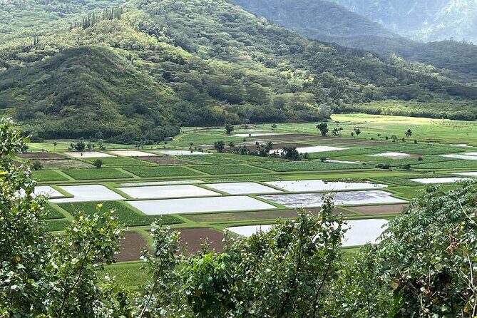 Kauai Island Private Guided Movie Tour from Lihue - FAQ