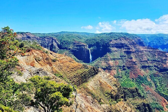 Kauai Island Private Guided Tour-Waimea Canyon from Lihue/Kapaa - Who Will Love This Tour?