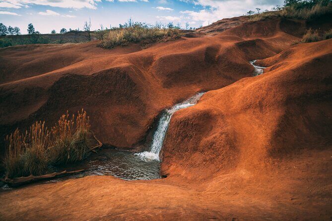 Kauai Island Private Guided Tour-Waimea Canyon from Poipu/Koloa - A Deep Dive into Kauais Private Guided Tour