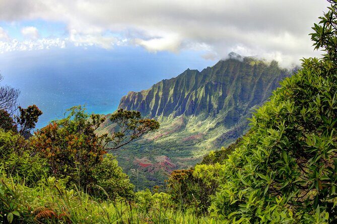 Kauai Island Private Guided Tour-Waimea Canyon from Princeville - Key Points