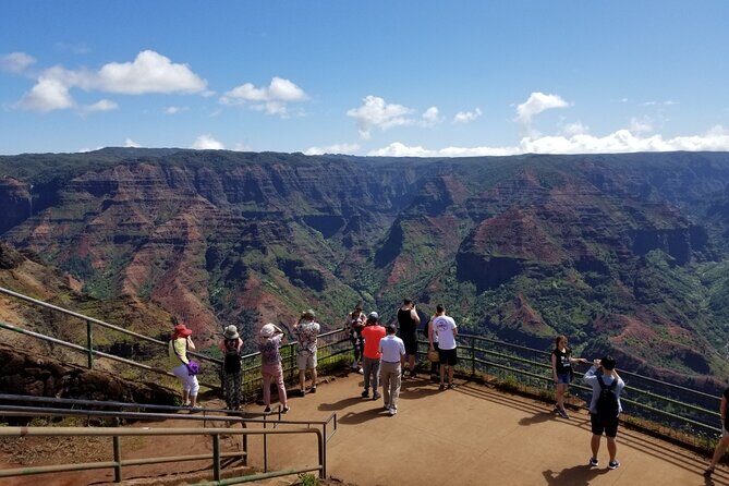Kauai Island Tour : Journey to Waimea Canyon & More Highlights - A Closer Look at the Kauai Island Tour Experience