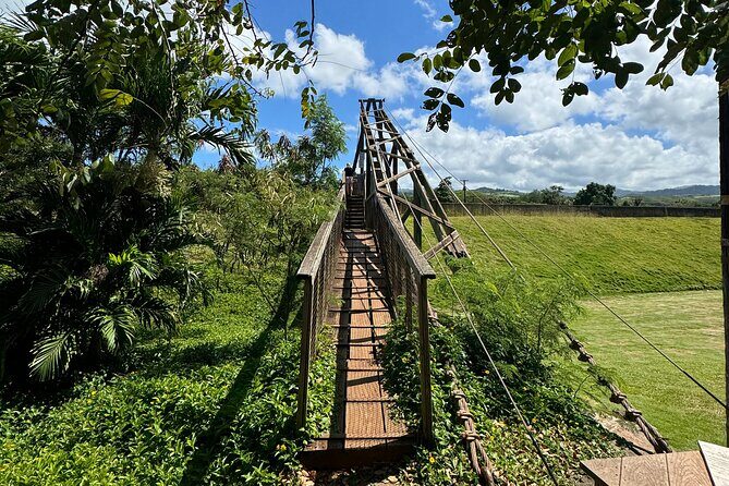 Kauai Island Tour : Journey to Waimea Canyon & More Highlights - Who Will Love This Tour?