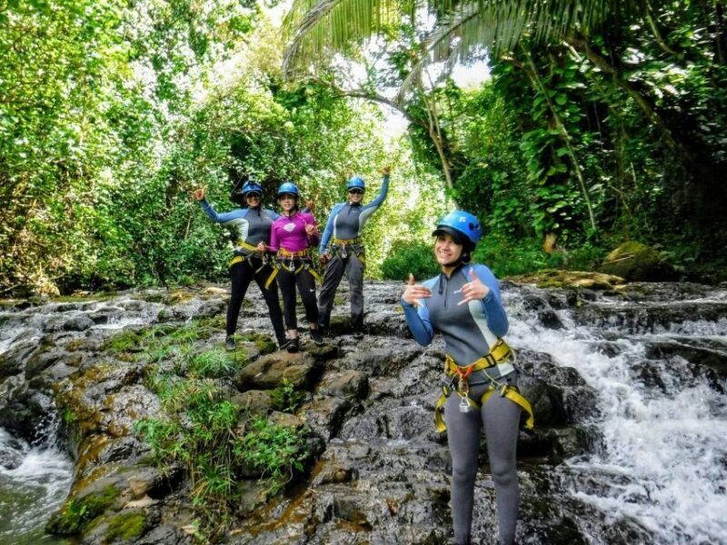Kauai: Island Waterfall Adventure - An In-Depth Look at the Kauai Waterfall Rappel Tour