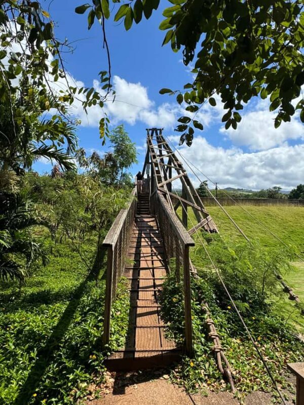 Kauai - Journey to Waimea Canyon, Spouting Horn & More - What to Expect on the Tour