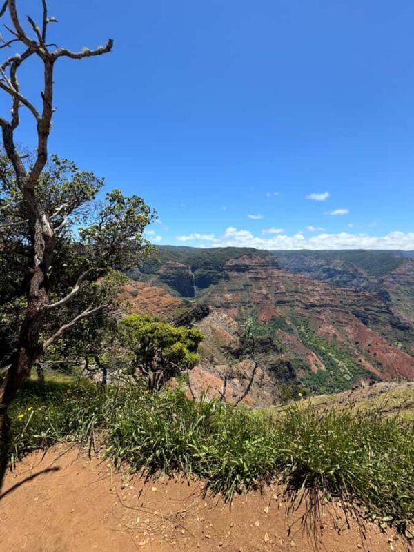 Kauai - Journey to Waimea Canyon, Spouting Horn & More - The Sum Up