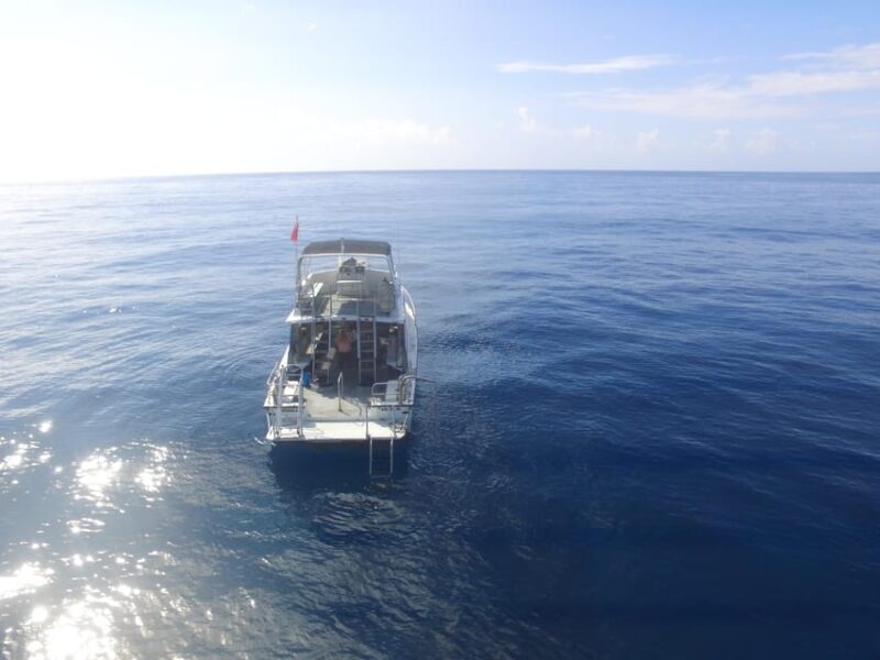 Kauai: Morning 2 Tank Boat Dive for Experienced Divers - FAQ