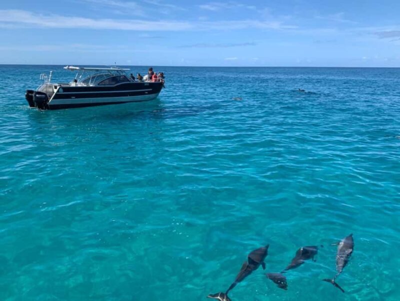 Kauai: Na Pali Coast Boat Tour with Cultural Captain & Crew - A Deep Dive into the Na Pali Coast Boat Tour