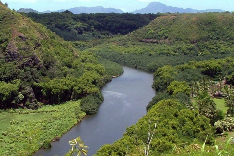 Kauai Northeast Tour, Fern Grotto River Cruise & Lighthouse - Authentic Insights from Travelers