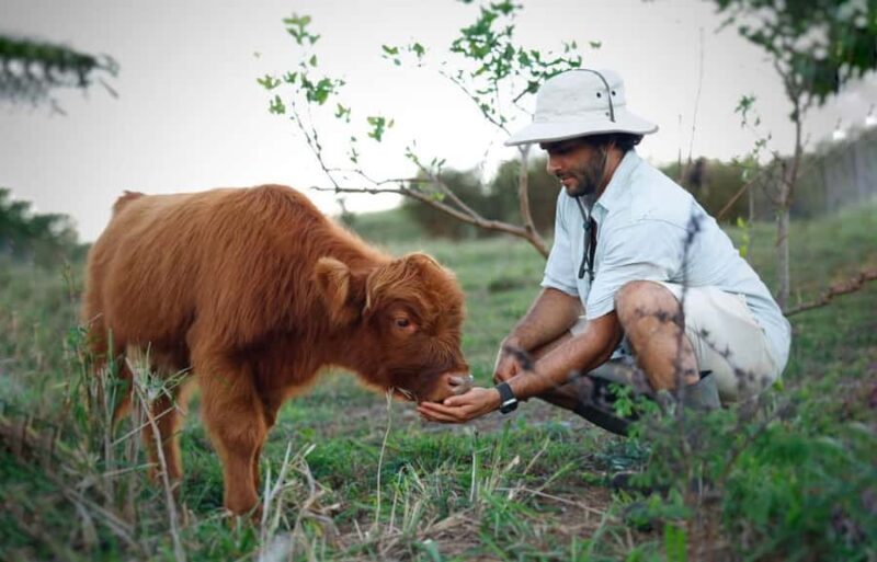 Kauai: Play with Baby Farm Animals & MicroDairy Immersion - Who Should Consider This Experience?