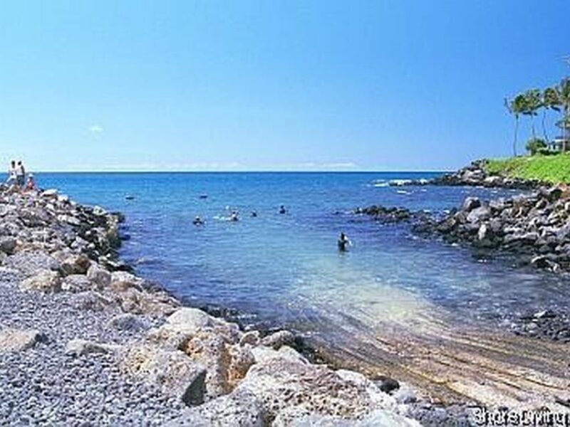 Kauai: Shore Diving at Koloa Landing, Poipu - Kauai: Shore Diving at Koloa Landing, Poipu