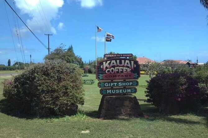 Kauai Shore Excursion - Waimea Canyon Adventure Tour - Nawiliwili - Final Thoughts