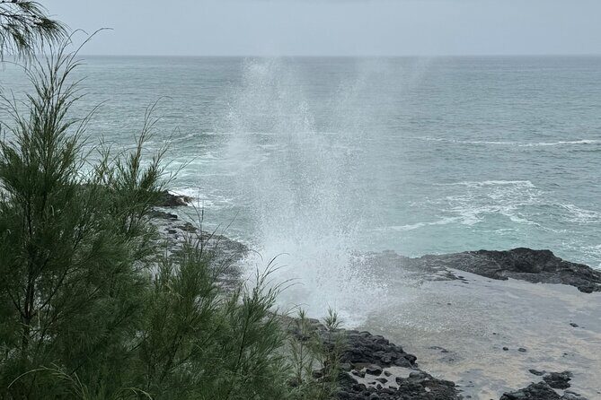 Kauai Shore Excursion - Waimea Canyon Adventure Tour - Nawiliwili - FAQ