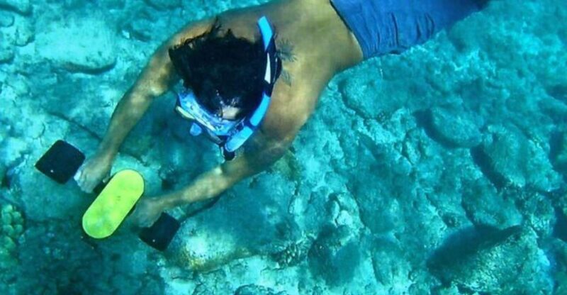Kauai: Snorkeling Adventure with Sea Scooter - A Detailed Look at the Kauai Snorkeling with Sea Scooter Tour