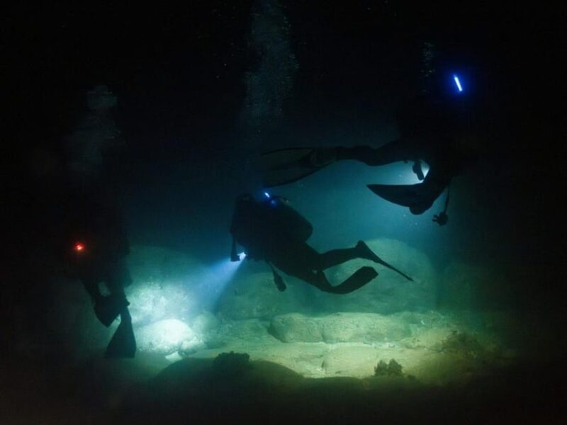 Kauai: Twilight/Night Shore Dive Experience - An In-Depth Look at the Kauai Twilight/Night Shore Dive Experience