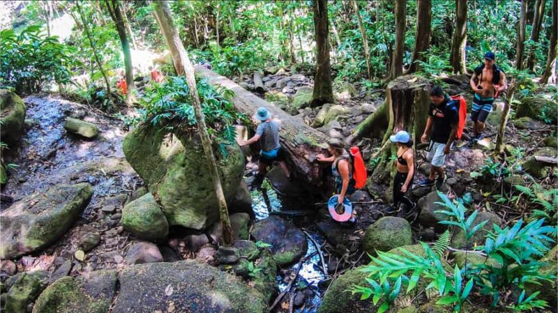 Kauai: Wailua River Kayak and Secret Falls Hike Tour - The Sum Up: Is This Tour Worth It?