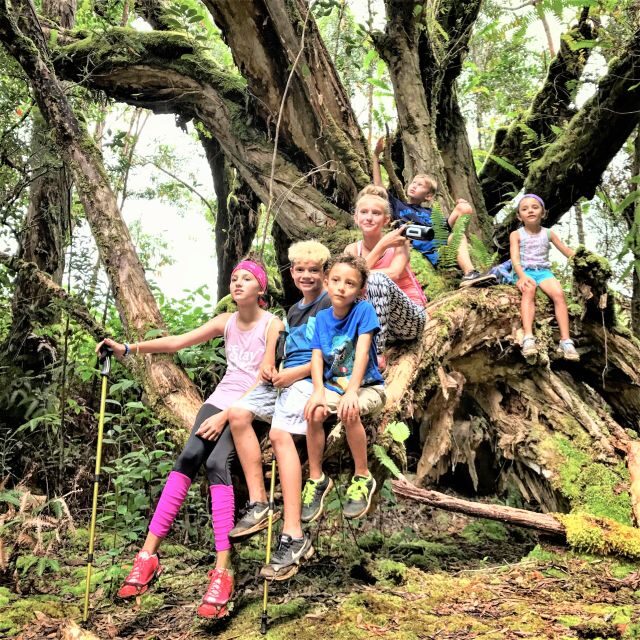 Kauai: Waimea Canyon & Kokee State Park Private Tour - Authentic Experiences and Practical Insights