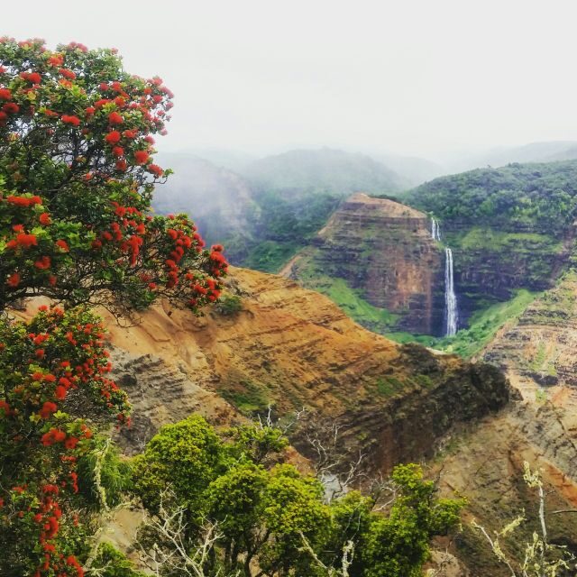 Kauai: Waimea Canyon & Kokee State Park Private Tour - FAQ