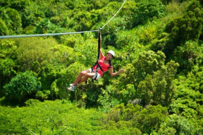 Kauai: Zipline Adventure - Kauai: Zipline Adventure – An Authentic Aerial Perspective of the Garden Isle