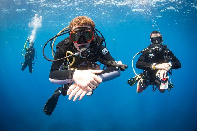 Kauai's Ultimate Discover Scuba Dive - OCEAN EXPERIENCE (1 Tank Dive) - Key Points